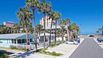 A coastal street lined with palm trees and a row of parked cars.