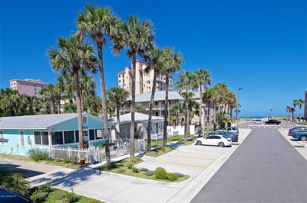 A coastal street lined with palm trees and a row of parked cars.