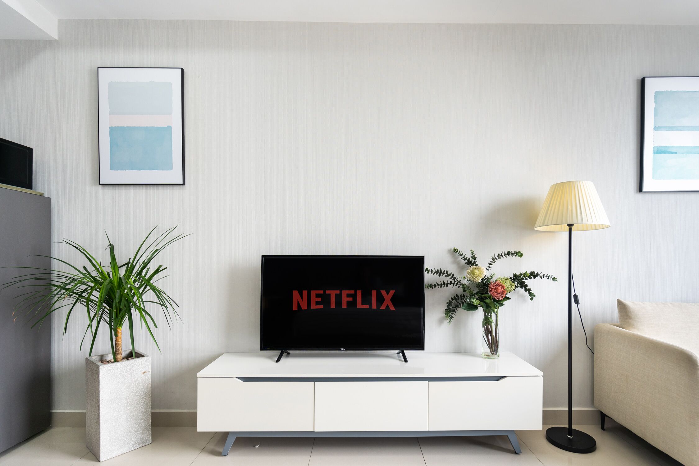 A modern living room with a flat-screen TV displaying "NETFLIX," a white console table, a floor lamp, a potted plant, and a sofa.