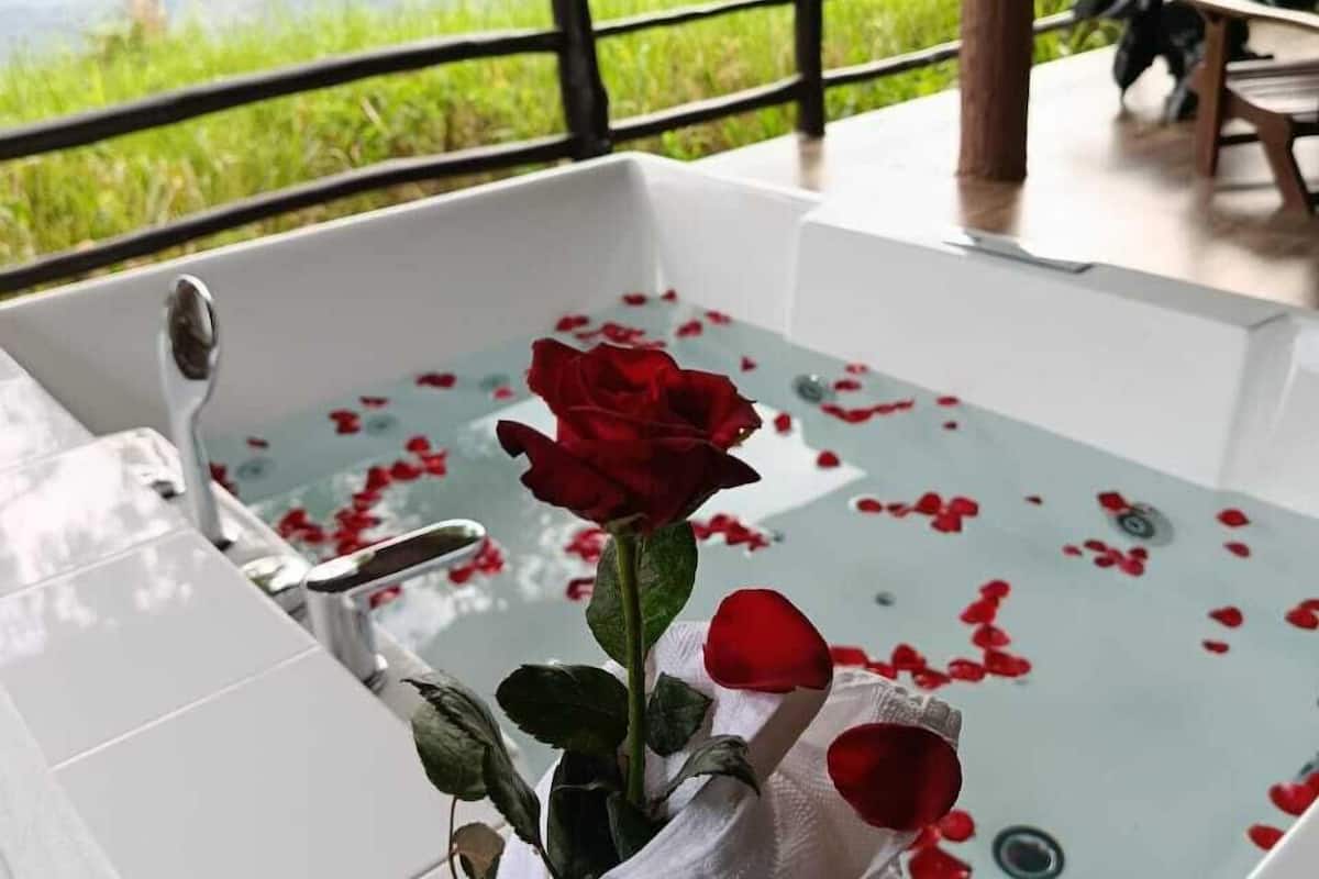 Grand Luxury Beehive with Jacuzzi | Vasca idromassaggio privata