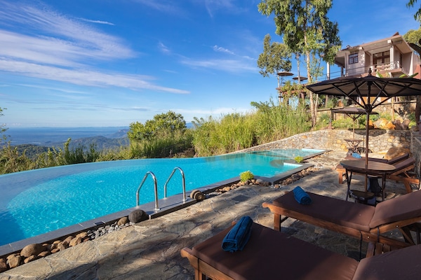 Una piscina al aire libre, sombrillas, sillones reclinables de piscina