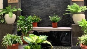 A tranquil indoor garden with various potted plants arranged around a central water feature. - Selaras Inn Syariah (Yogyakarta)