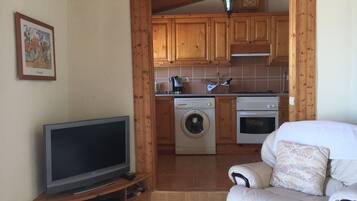 Een televisie, een open haard, een dvd-speler en boeken