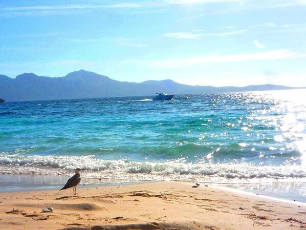 海滩