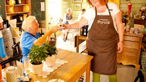 A cozy café interior with wooden furniture, a coffee machine, and a variety of coffee bags on shelves. - Handelsstedet Forvik (Vevelstad)