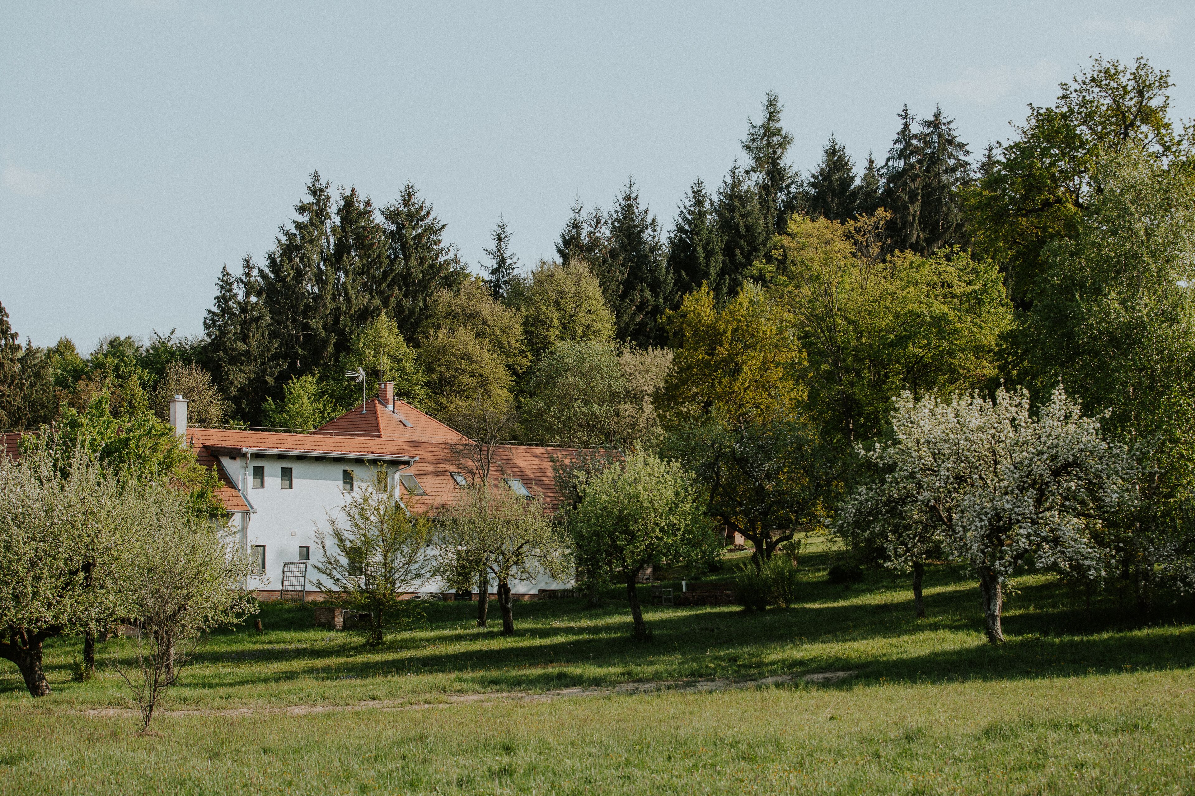 Uma casa rodeada por árvores e grama.