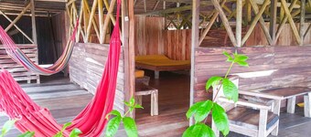 Great Amazons getaway