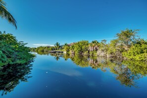 Une rivière paisible où se reflètent les arbres, sous un ciel bleu et dégagé.