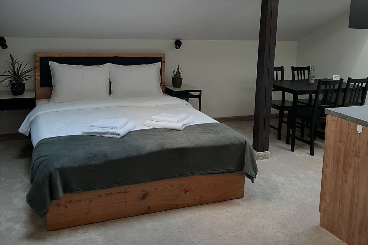 Studio Apartment | Minibar, in-room safe, desk, laptop workspace
