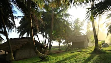 Jardí