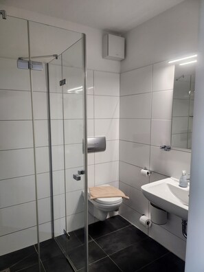 A modern bathroom with a glass shower enclosure, a toilet, and a sink with a mirror above it.