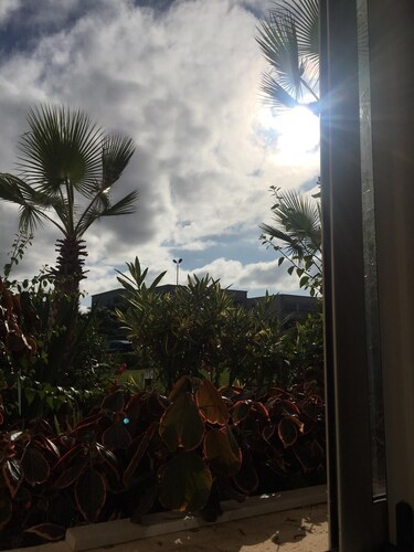 Tilava ja kalustettu huoneisto merenrantakohteessa Ola Blanca 2