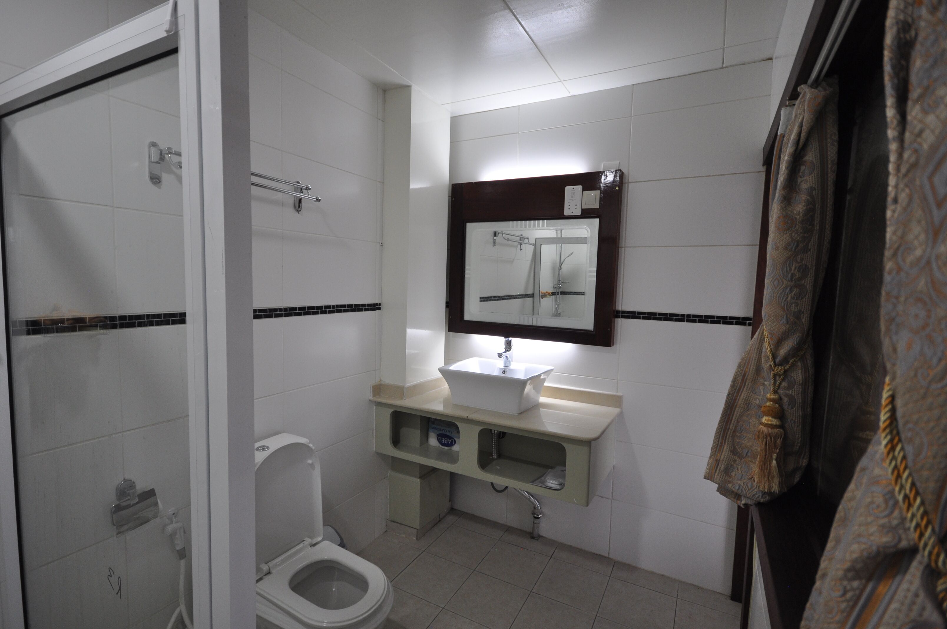 A bathroom with a toilet, a sink, and a shower.