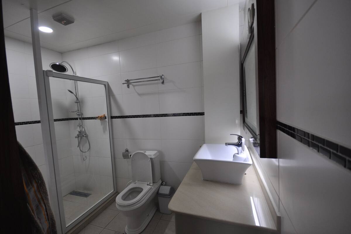 A modern bathroom with a glass-enclosed shower, a toilet, and a sink with a mirror.