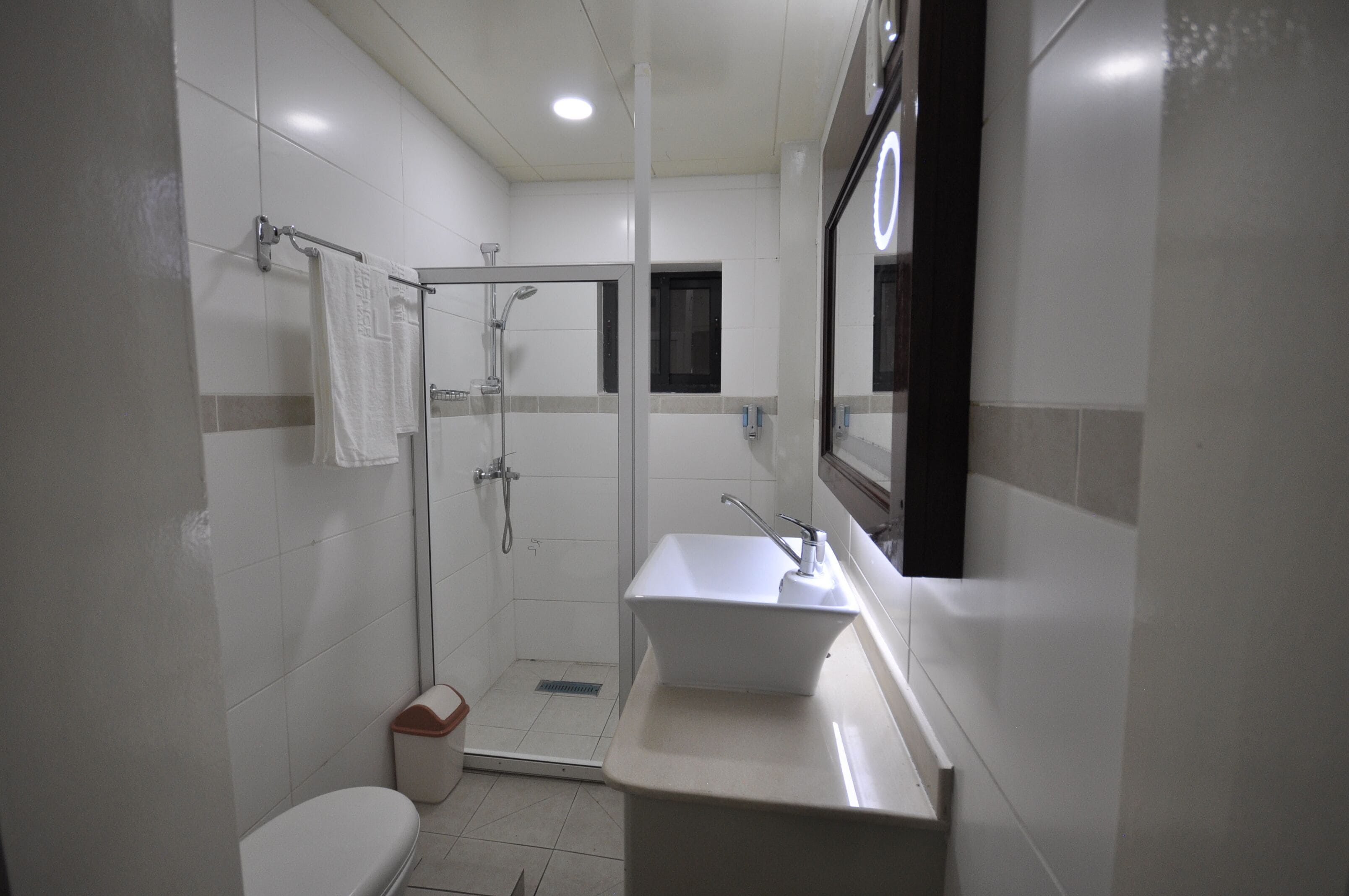 A modern bathroom with a glass shower enclosure, a white sink, and a toilet.
