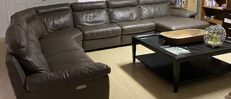 TV, fireplace, DVD player, books