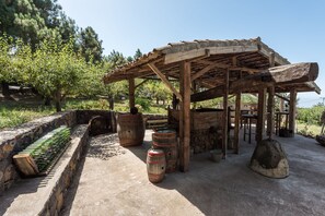 Terras
