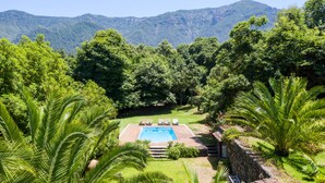 Una piscina con lettini, circondata da vegetazione lussureggiante e montagne sullo sfondo.