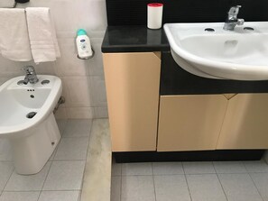 Shower, hair dryer, bidet, towels