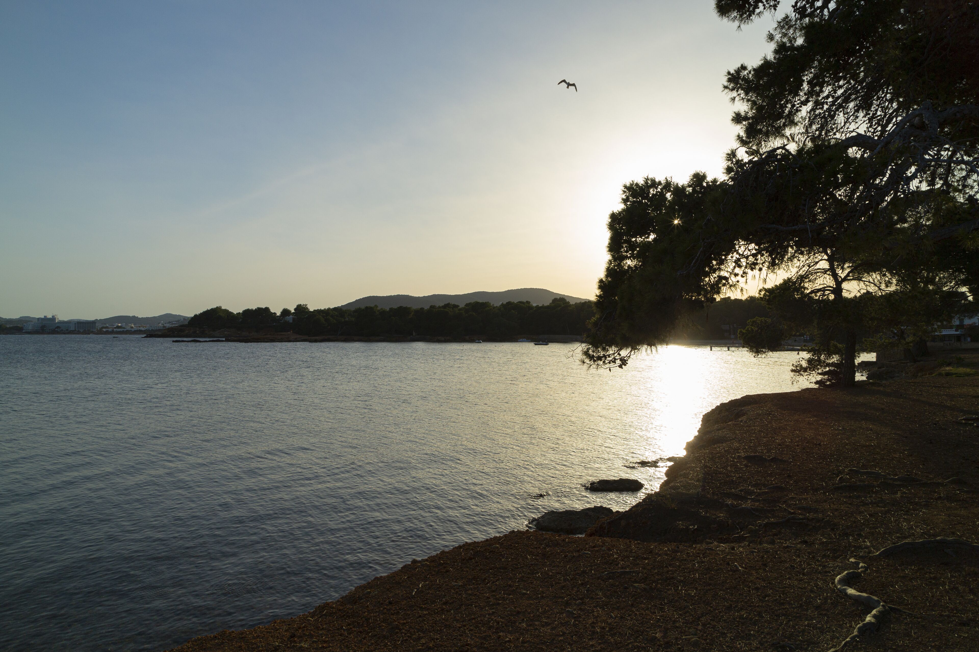 Una vista tranquila de un lago con cielo despejado, agua calma y una orilla distante.