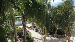A garden area with palm trees, a pathway, and various plants. - FLORIDA KEYS PARADISE! DEEP WATER CANAL WITH FAST OCEAN ACCESS. (Summerland Key)