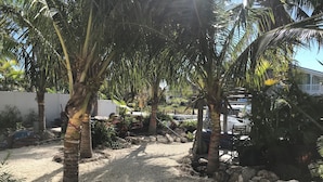 A gravel path surrounded by palm trees and rocks, leading to a building with parked cars. - FLORIDA KEYS PARADISE! DEEP WATER CANAL WITH FAST OCEAN ACCESS. (Summerland Key)