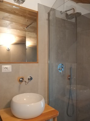 Shower, hair dryer, bidet, towels