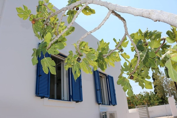 Detalle exterior