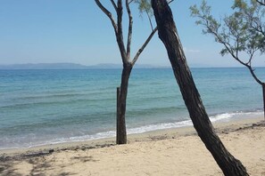 Playa en los alrededores y camastros 