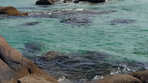 Une plage bordée d’une eau turquoise et limpide, de gros rochers et, au loin, de montagnes.