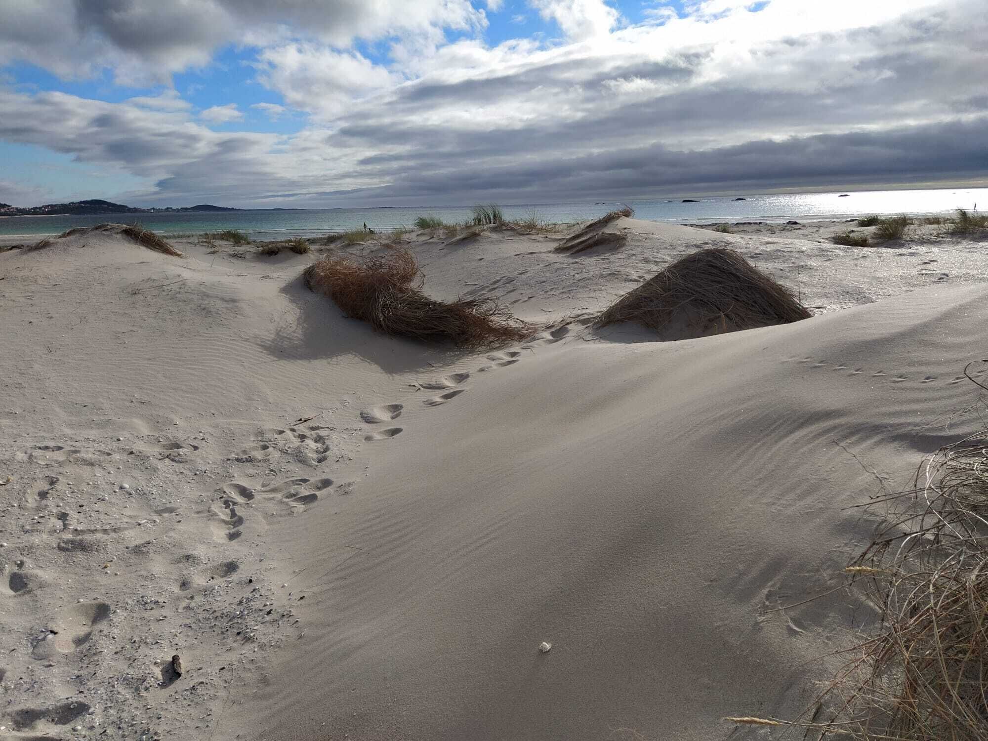 Una playa arenosa con huellas y vegetación escasa.