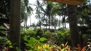 A tropical garden with palm trees and various plants. - The Wantilan in Tejakula (Tejakula)