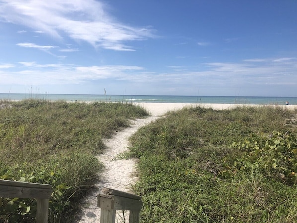A beach path leading to the ocean with a wooden structure at the start.