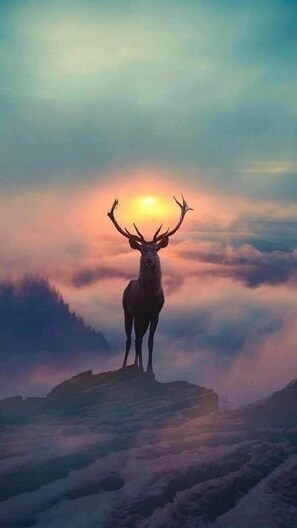 Imagen sin descripción, 3 de 37, botón