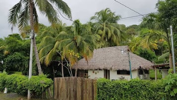 Vườn