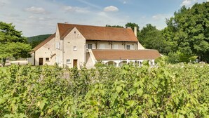 A large, two-story building with a sloped roof, surrounded by lush greenery and vineyards.