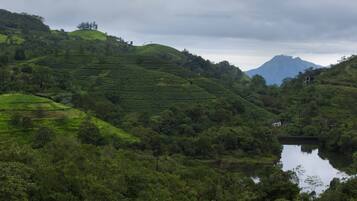 Un paisaje verde exuberante con campos en terrazas y una masa de agua.