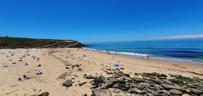 Plage à proximité, chaises longues, serviettes de plage