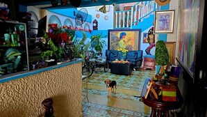 A vibrant living room with a blue wall, a sofa, a coffee table, and a dog. - Hotel Kevin (Puerto Plata)
