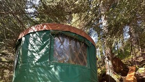 Une cabane verte, en forme de dôme, dotée d’une terrasse en bois, entourée d’arbres et bordée d’un sentier de terre.