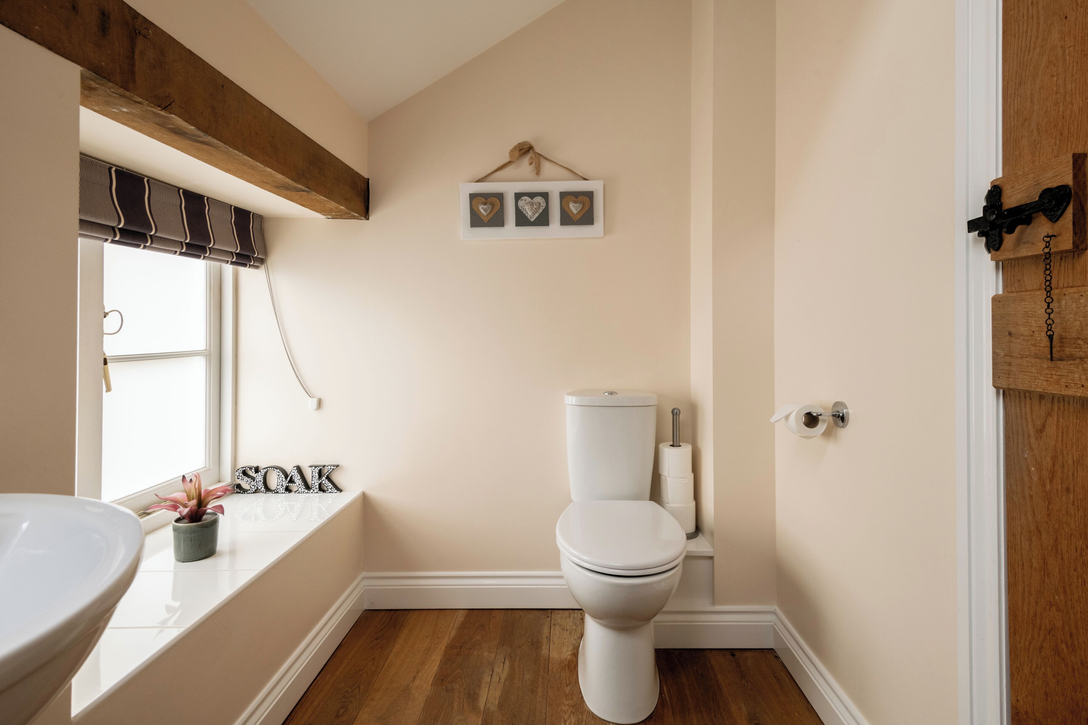 A bathroom with a toilet, a sink, a window with a view, and a wall-mounted shelf with a plant.