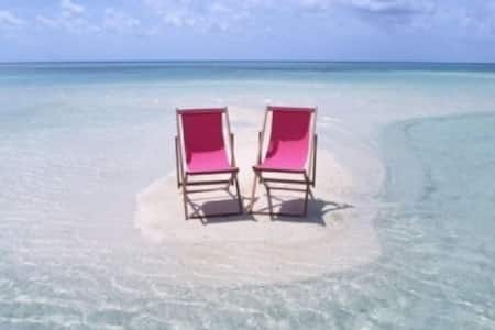 St Pete BEach Cottage