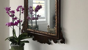 A mirror with an ornate frame, a green vase with purple flowers, a black bowl, and a small black box on a wooden surface. - Georgian Seafront fisherman’s cottage | Sea views | Old Town (Hastings)
