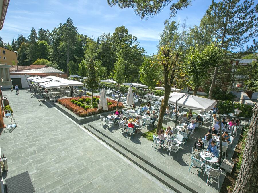 Signature Studio | Garden view