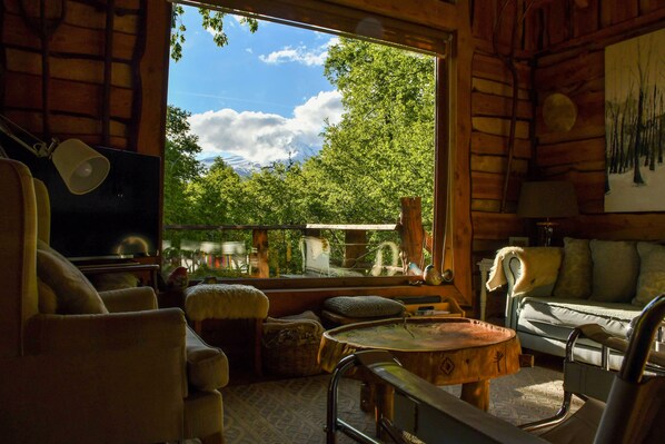 TV, fireplace, books, stereo - Beautiful Lodge for six in Conguillio National Park (Melipeuco)