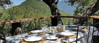 Beautiful Lodge for six in Conguillio National Park