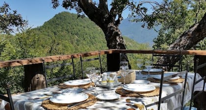 Beautiful Lodge for six in Conguillio National Park