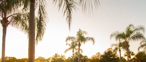 Huis (Private Screened Splash Pool Overlook) | Zwembad | Een buitenzwembad