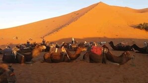 Unclassified image, 2 of 12, button - Bivouac Alla (Taouz)