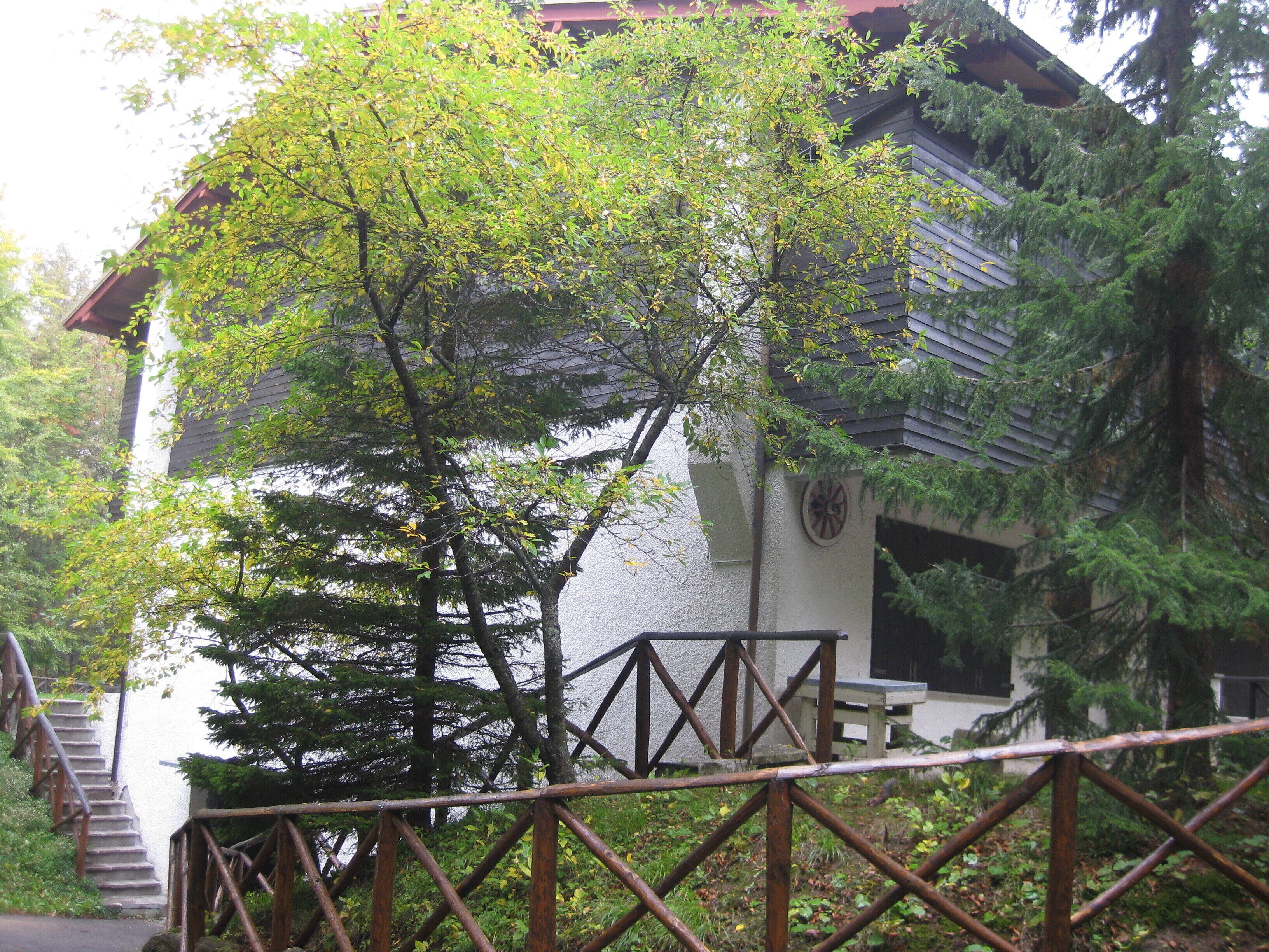 A relaxing stay immersed in nature